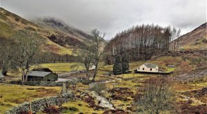 A Scottish View + Sandra Crockford