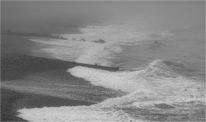 Foggy Beach + Sean Callis