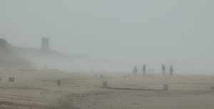 Sea Fog + Bob Glyde