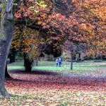 Raphael in the Fall