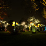 Kew-Gardens-at-night